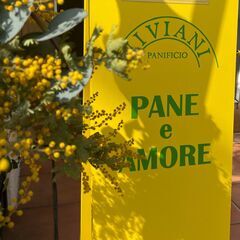 PANIFICIO VIVIANI【急募！】イタリアンベーカリー...