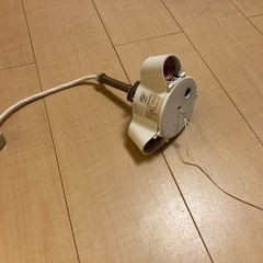 三口セーリングライト