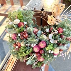 クリスマスリース　お正月リース　冬リース　杉リース クリスマスリース お正月リース 冬リース 杉リース