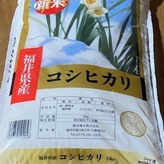 新米 コシヒカリ 5kg