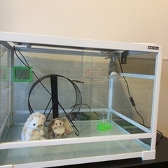 パンテオン6045 ハリネズミ 飼育セット　爬虫類ケージ