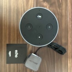 Alexa echo Amazon 