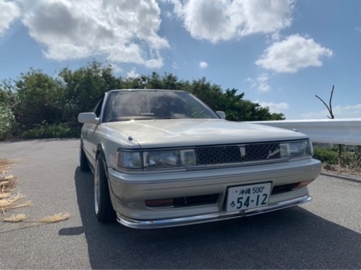 分割式リップ