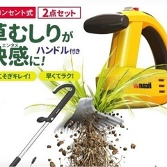 草取り　12/15  できる方募集‼︎