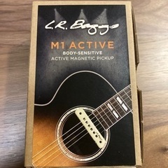 k.yairi RF90 L.R.Baggs M-1 付きの画像
