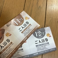 スパバレイ枚方南　入浴券　食事券など