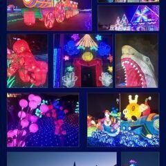 東京ドイツ村入園招待券　千葉市引渡しの画像