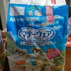 【値下】犬用マナーウェアMサイズ　女のコ用　21枚の画像