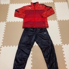 PUMA 中綿ジャージ　上下