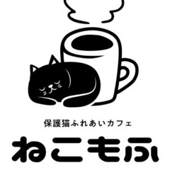 保護猫カフェスタッフ募集。経験者or獣医師資格をお持ちの方！の画像