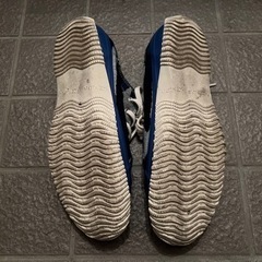 スピングルムーブ　シューズの画像