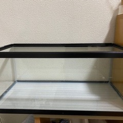 【お値下げしました！配送◎】GEX 60cm水槽