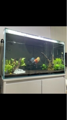 ⭐️福岡近郊配送します⭐️90cm水槽 水槽台 外部式フィルター LED照明