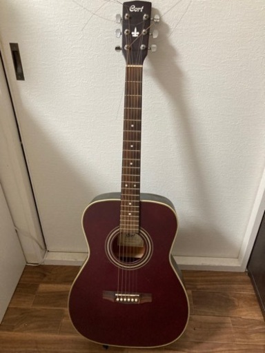 Cort ギター
