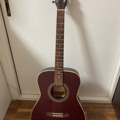 Cort ギター