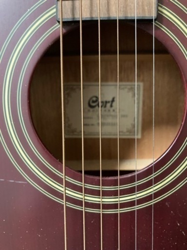 Cort ギター