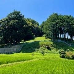 サウナテント、薪ストーブ