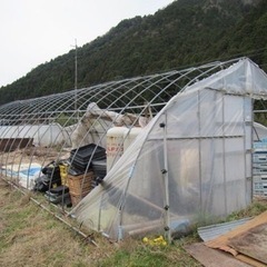 ハウスパイプくれませんか？