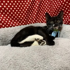 7月生まれ　大人しいツゥ君