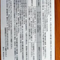 スターフライヤ　株主優待券の画像