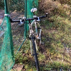 Bianchi ROMA2の画像