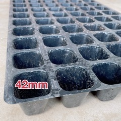 育成トレー　多肉植物　ミニ苗 の画像