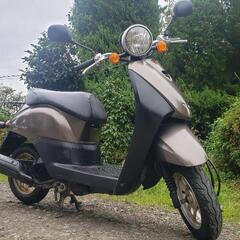 🛵大人気トゥディ-‼️通勤通学配達‼️室内保管綺麗‼️早い者勝ち‼️