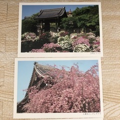 妙満寺　絵はがき　5枚の画像