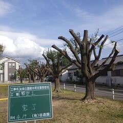 町をきれいにするお仕事ですの画像