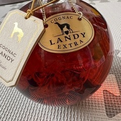 LANDY（古酒）の画像