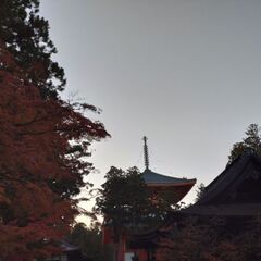 夜間ライトアップに行こう⭐ - メンバー募集