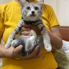 7月生まれ　懐っこいアイちゃん