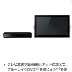 パナソニック　プライベートビエラ