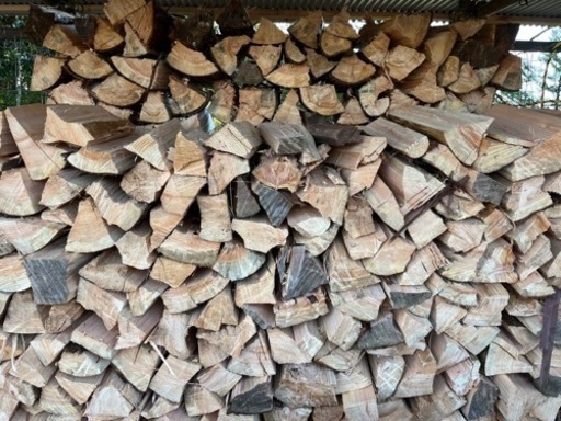 ヒノキの薪　1㎥