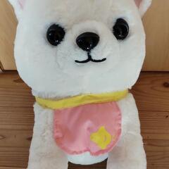 無料キャラクターぬいぐるみ4点セットの画像