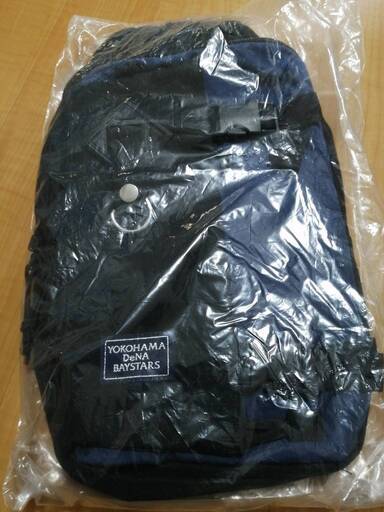 【ヤフオクにて取引完了】【未使用】横浜DeNAベイスターズ 2019年ファンクラブ特典 ボディバッグ