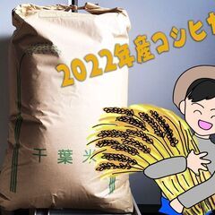 市原市のお米「コシヒカリ」30Kgとオマケで「つくね芋」1kg