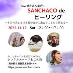 猫好きさん集合！　SANCHACO　de　ヒ－リング