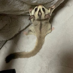 ＊里親様決定しました＊