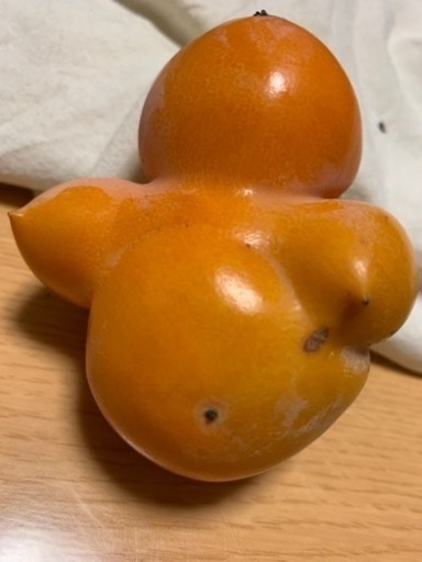 おっぱい柿様　神棚