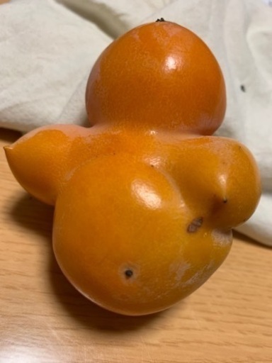 おっぱい柿様　神棚