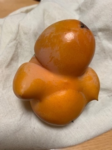 おっぱい柿様　神棚