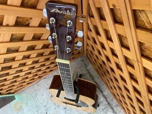 【愛品館 江戸川店】ZEN-ON アコースティックギター ID:125-010780-007