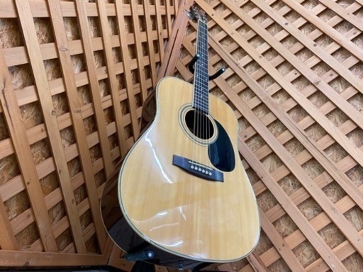 【愛品館 江戸川店】ZEN-ON アコースティックギター ID:125-010780-007