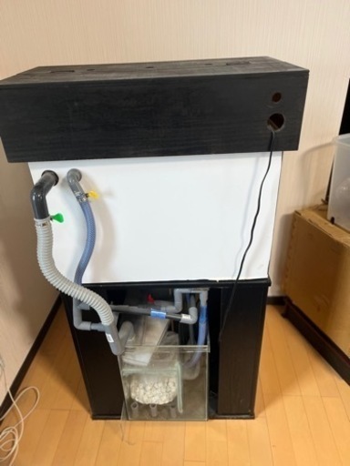 オーバーフロー式　60cm水槽