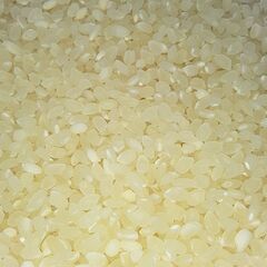 お米１０kg🍚