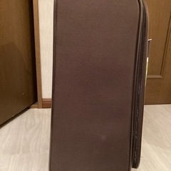 ATSUKI A.O ONISHI キャリーケース　ドットの画像