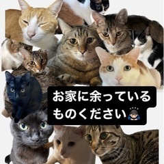 保護猫活動にご支援を‼︎‼︎🐱 余っている毛布やマットください🙇...
