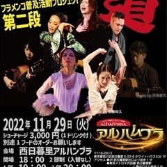 フラメンコ普及活動プロジェクトフラメンコLive第二段ザ・フラメンコ道