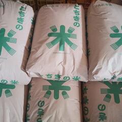 ◇(新米) コシヒカリ 玄米20kg 栃木県産